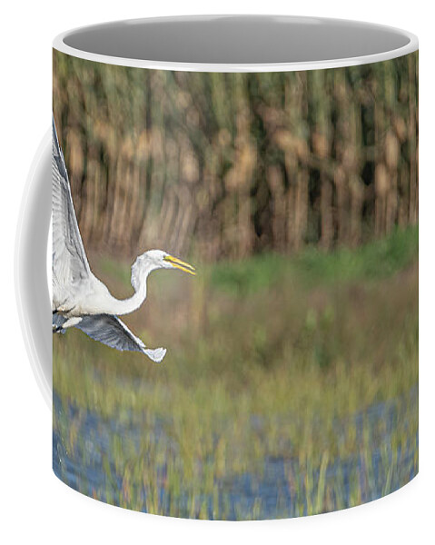 Egret Coffee Mug featuring the photograph Milky White Egret by Amfmgirl Photography