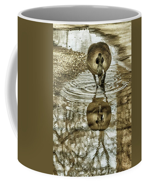 Geese Coffee Mug featuring the photograph Mirror Mirror by Cate Franklyn