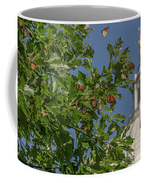 Monarchs Coffee Mug featuring the photograph Monarchs Migrating Through Madison by Amfmgirl Photography