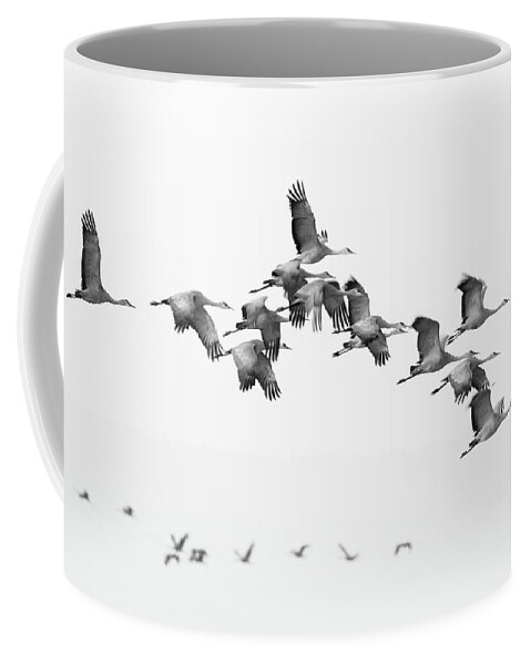 Richard E. Porter Coffee Mug featuring the photograph Morning Flight - Muleshoe Wildlife Refuge, Texas #1 by Richard Porter