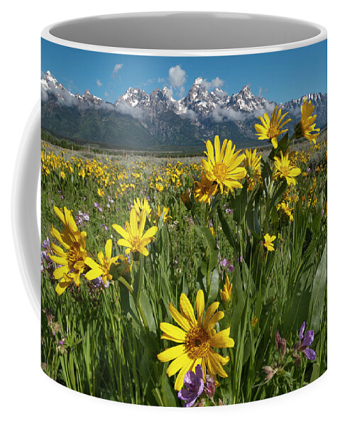 Jeff Foott Coffee Mug featuring the photograph Mule Ears And The Tetons #1 by Jeff Foott