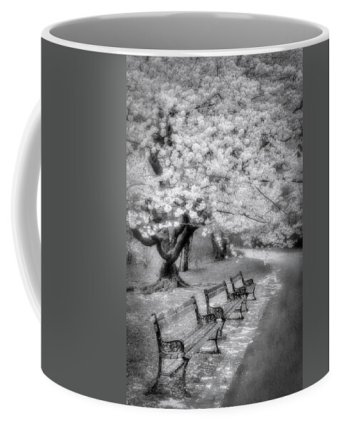 Cherry Blossom Coffee Mug featuring the photograph Natures After Party Confetti #2 by Susan Candelario