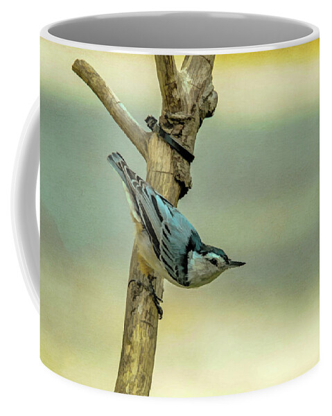 Songbird Coffee Mug featuring the photograph Nuthatch by Cathy Kovarik
