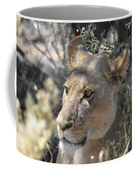 Lion Coffee Mug featuring the photograph Okavango Lioness by Ben Foster