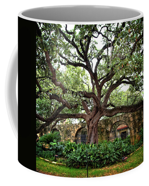 Alamo Coffee Mug featuring the photograph Outside the Alamo #1 by George Taylor