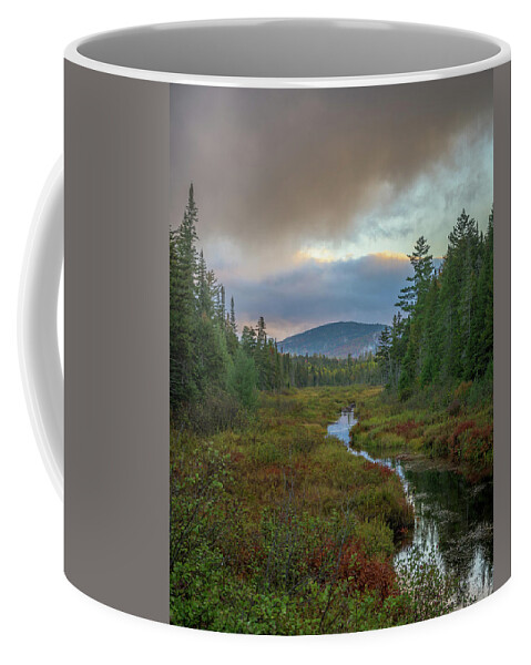 John Dillon Park Coffee Mug featuring the photograph Peace #1 by Guy Coniglio