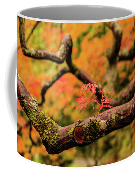 Japanese Garden Coffee Mug featuring the photograph Rebirth by Briand Sanderson
