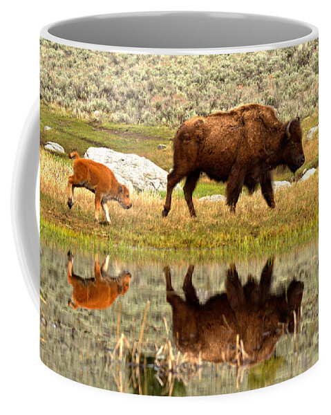 Bison Coffee Mug featuring the photograph Reflections With The Red Dog by Adam Jewell