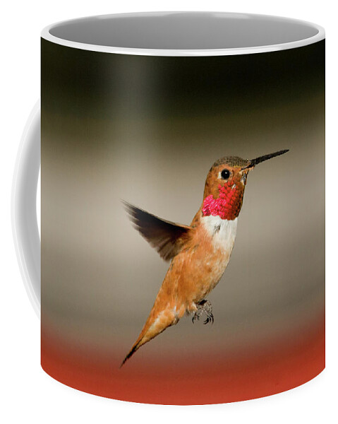 Hummingbird Coffee Mug featuring the photograph Rufus #1 by Ronnie And Frances Howard