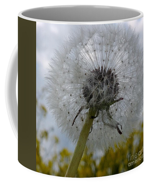 Flower Coffee Mug featuring the photograph Serenity by Karin Ravasio