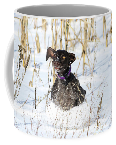 Goofy Coffee Mug featuring the photograph Silly Face Macie #1 by Brook Burling