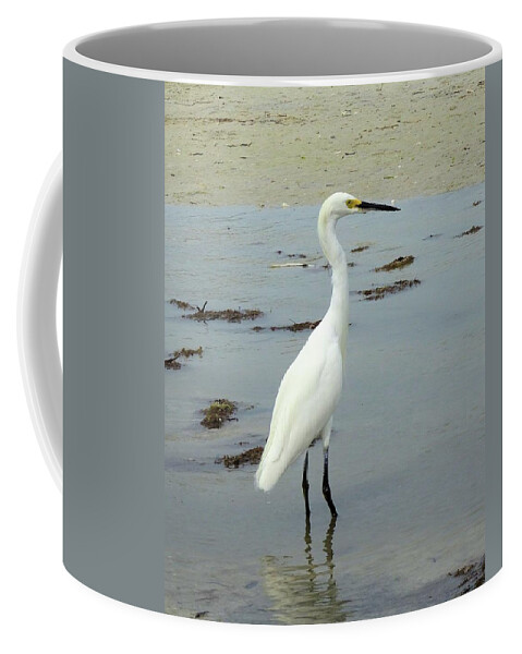 Birds Coffee Mug featuring the photograph Snowy Egret #2 by Karen Stansberry