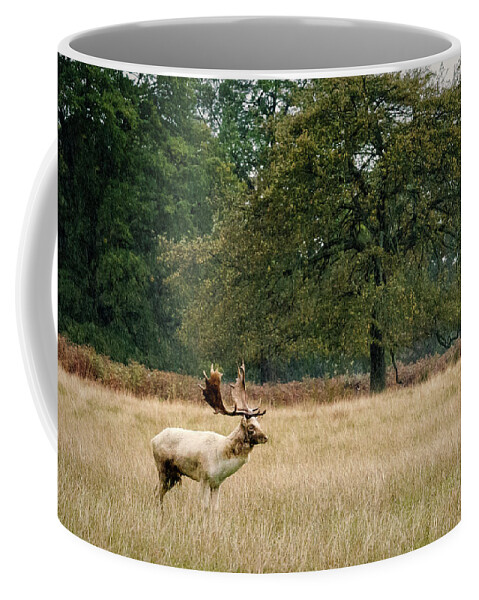 Stag Coffee Mug featuring the photograph Stag #1 by Chris Boulton
