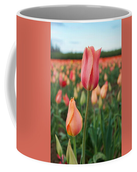 Tulip Coffee Mug featuring the photograph Standing Tall #1 by Brian Eberly