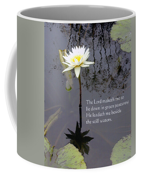 Water Lily Coffee Mug featuring the photograph Still Waters #1 by John Lautermilch