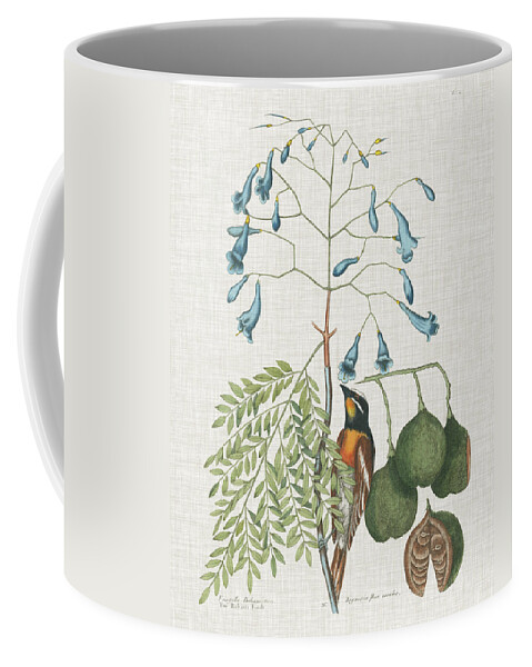 Animals Coffee Mug featuring the painting Studies In Nature II by Mark Catesby