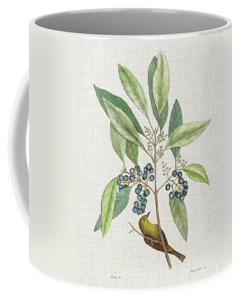 Animals Coffee Mug featuring the painting Studies In Nature Iv by Mark Catesby