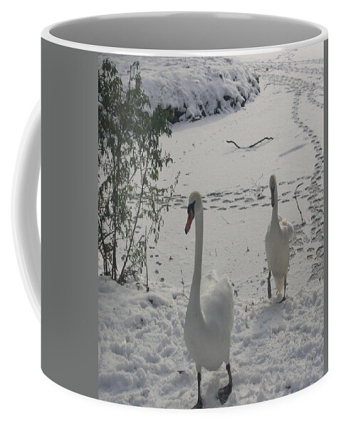 Black And White Coffee Mug featuring the photograph Swans #1 by Joanne Harrison