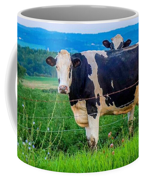  Coffee Mug featuring the photograph The eyes have it by Kendall McKernon