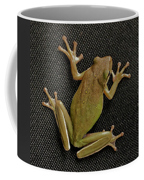 Frog Coffee Mug featuring the photograph Tree Frog #1 by Nathan Little