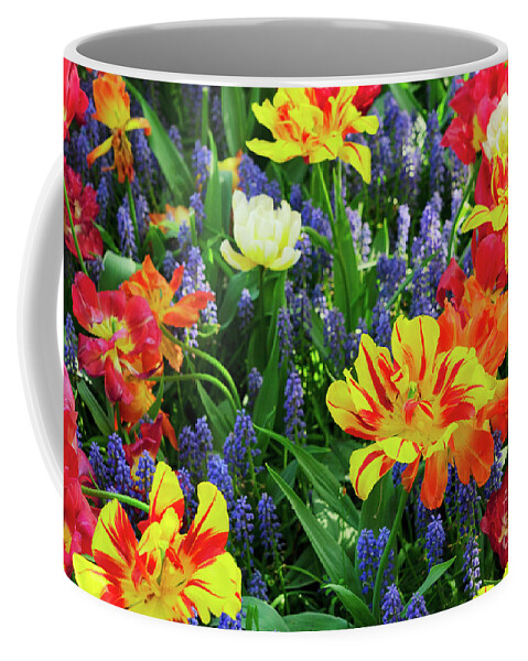 Tulips Coffee Mug featuring the photograph Tulips and Bluebell Flowerbed by Anastasy Yarmolovich