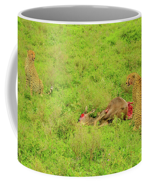 Cheetah Coffee Mug featuring the photograph Two Cheetah eats Gnu #1 by Benny Marty