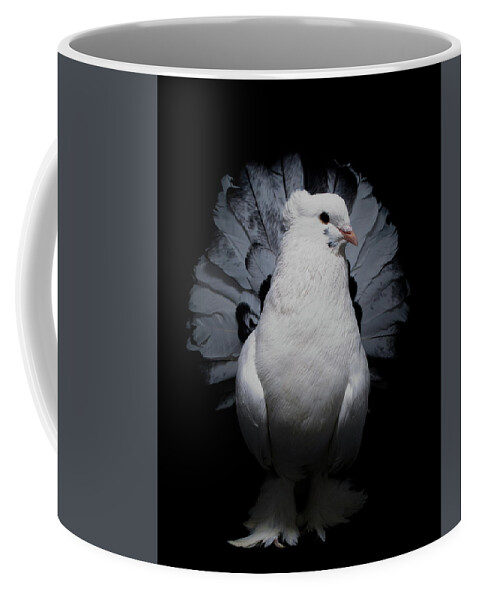 Pigeon Coffee Mug featuring the photograph White And Black Indian Fantail #1 by Nathan Abbott