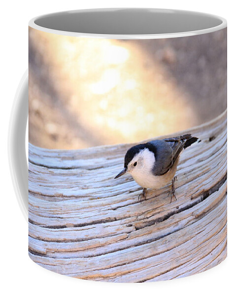Bryce Canyon Coffee Mug featuring the photograph White Breasted Nuthatch #2 by Ed Riche