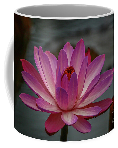 Lily Coffee Mug featuring the photograph White City Lily #1 by Tom Claud