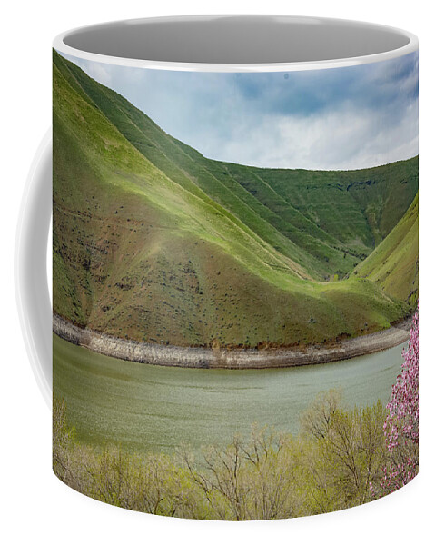 Idaho Coffee Mug featuring the photograph 11060 Woodhead Park Idaho by Pamela Williams