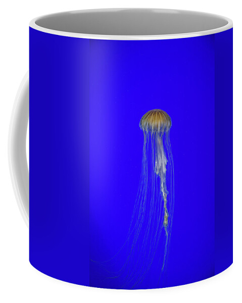 #jellyfish #art #aquarium #sea #ocean #nature #fish #water #photography #sealife #underwater #marinelife #japan #japanese #blue #yellow #gold Coffee Mug featuring the photograph Japanese Jellyfish #17 by Kenny Thomas