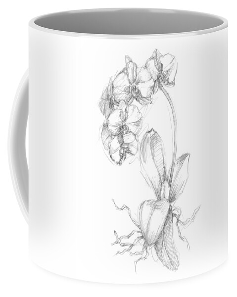 Botanical Coffee Mug featuring the painting Botanical Sketch V #2 by Ethan Harper
