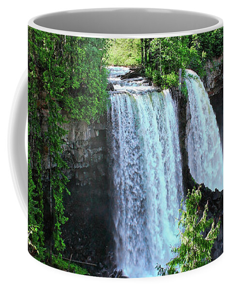 Waterscape Coffee Mug featuring the photograph Canim waterfalls double waterfall Canim River in forest east of 100 Mile House BC Canada #2 by Robert C Paulson Jr