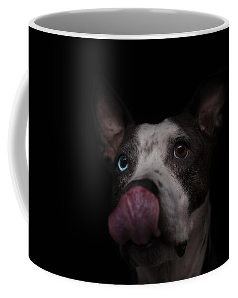 Animal Coffee Mug featuring the photograph Cleo #2 by Brian Cross