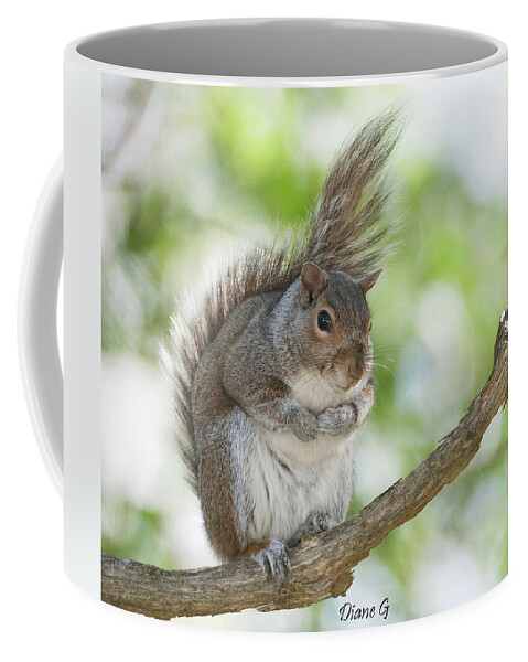 Eastern Grey Squirrel Coffee Mug featuring the photograph Eastern Grey Squirrel #2 by Diane Giurco