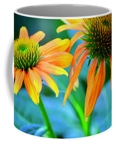 Flowers Coffee Mug featuring the photograph Echinacea #3 by Bonnie Bruno