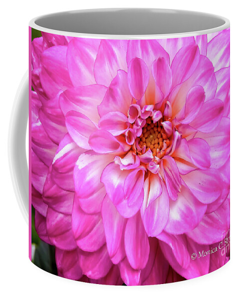 Dahlias Coffee Mug featuring the photograph Flowers Hanging No. HGF10 #2 by Monica C Stovall
