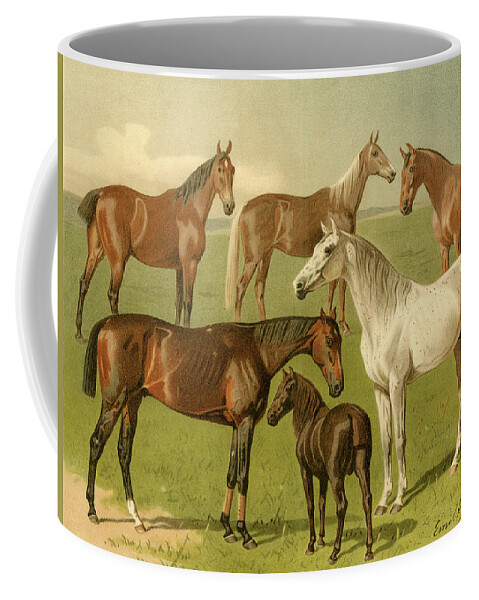Horses Coffee Mug featuring the painting Horse Breeds I by Emil Volkers