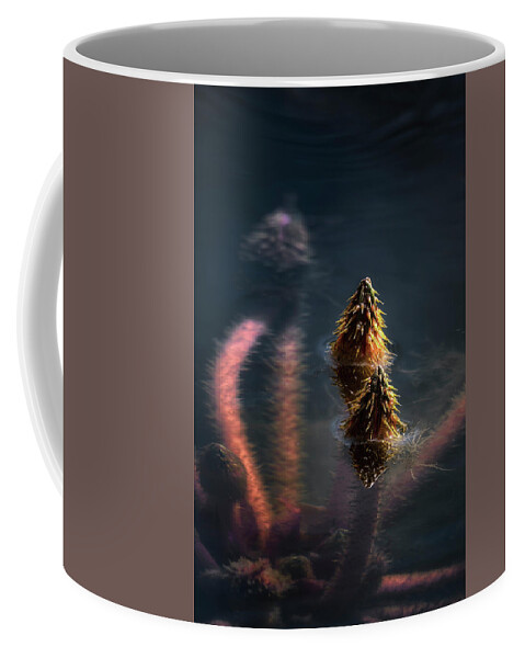 Water Lily Coffee Mug featuring the photograph On The Rise #2 by Robert Fawcett