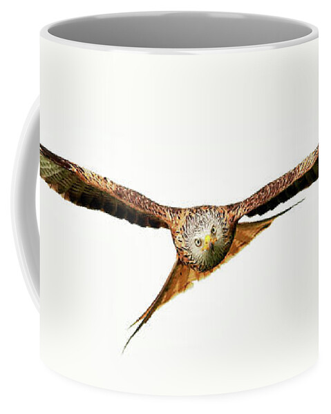 Red Kite Coffee Mug featuring the photograph Red Kite - Bird of Prey in flight by Grant Glendinning