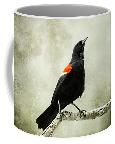 Bird Coffee Mug featuring the photograph Vintage Blackbird by Christina Rollo