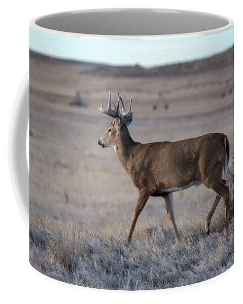 Deer Coffee Mug featuring the photograph Rocky Mountain Deer #2 by Philip Rodgers