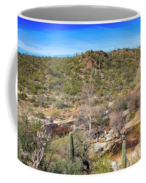 Tucson Coffee Mug featuring the photograph Sabino Canyon AZ #2 by Chris Smith