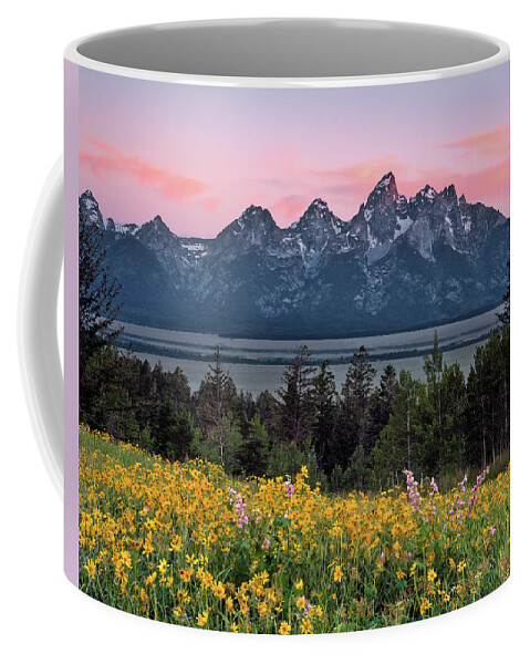 Wyoming Coffee Mug featuring the photograph Teton Spring #2 by Leland D Howard