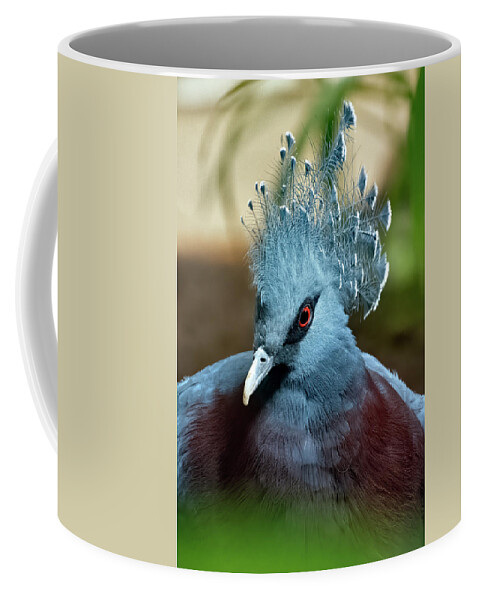 Animal Coffee Mug featuring the photograph Victoria Crowned Pigeon #2 by Kuni Photography
