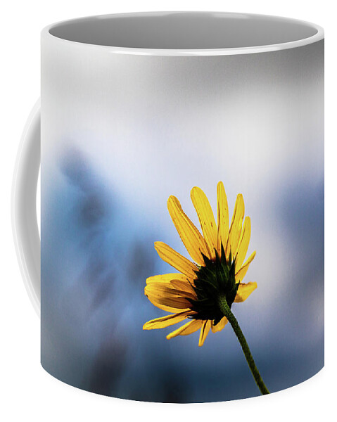 Jay Stockhaus Coffee Mug featuring the photograph Wild Sunflower #2 by Jay Stockhaus