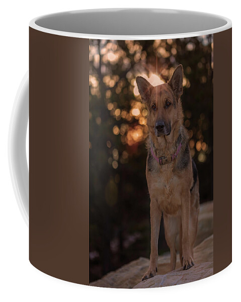 Animal Coffee Mug featuring the photograph Liesl #20 by Brian Cross