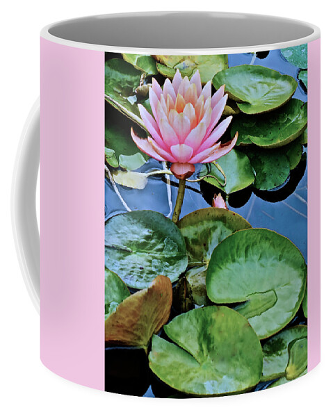 Waterlily Coffee Mug featuring the photograph 2019 August at the Gardens Patio Joe Waterlily by Janis Senungetuk