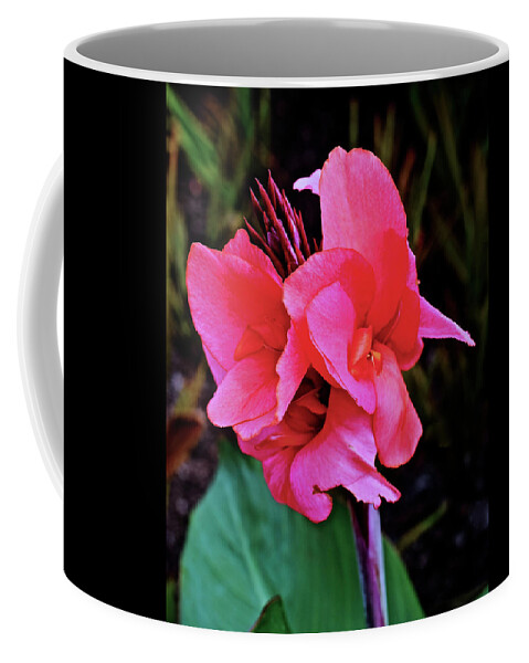 Canna Lilies Coffee Mug featuring the photograph 2019 August at the Gardens Welcoming Canna Lily 2 by Janis Senungetuk