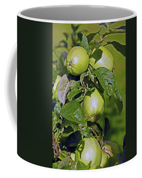 Lancashire Coffee Mug featuring the photograph 21/07/14 CHORLEY. Astley Hall. by Lachlan Main